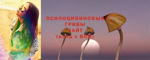 ALPHA-PVP Верея